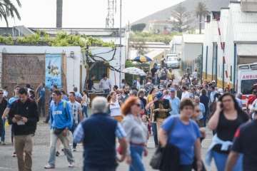 Más de 900 animales en la Feria de Ganado de Gran Canaria (Foto TA)